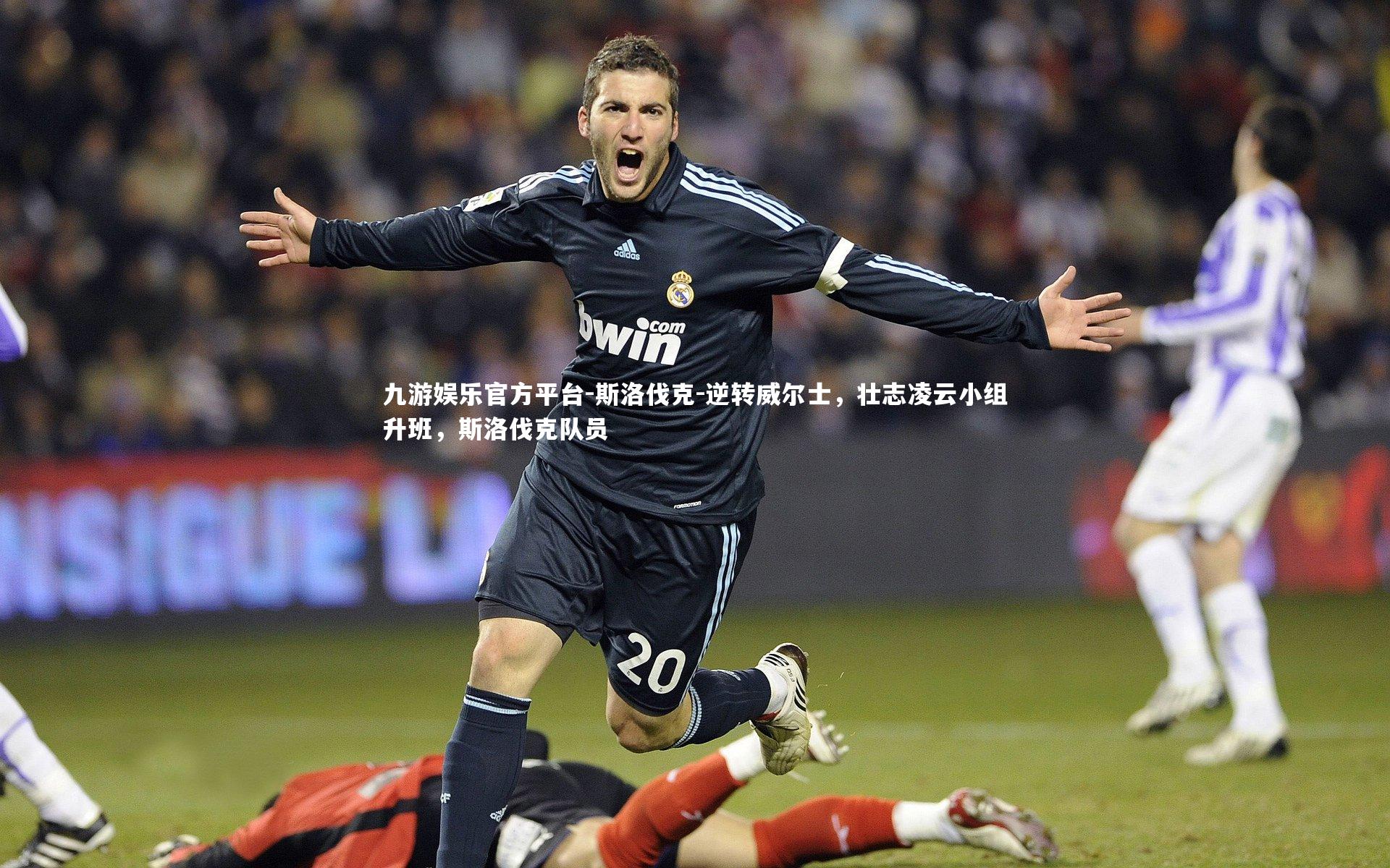 斯洛伐克-逆转威尔士,壮志凌云小组升班,斯洛伐克队员