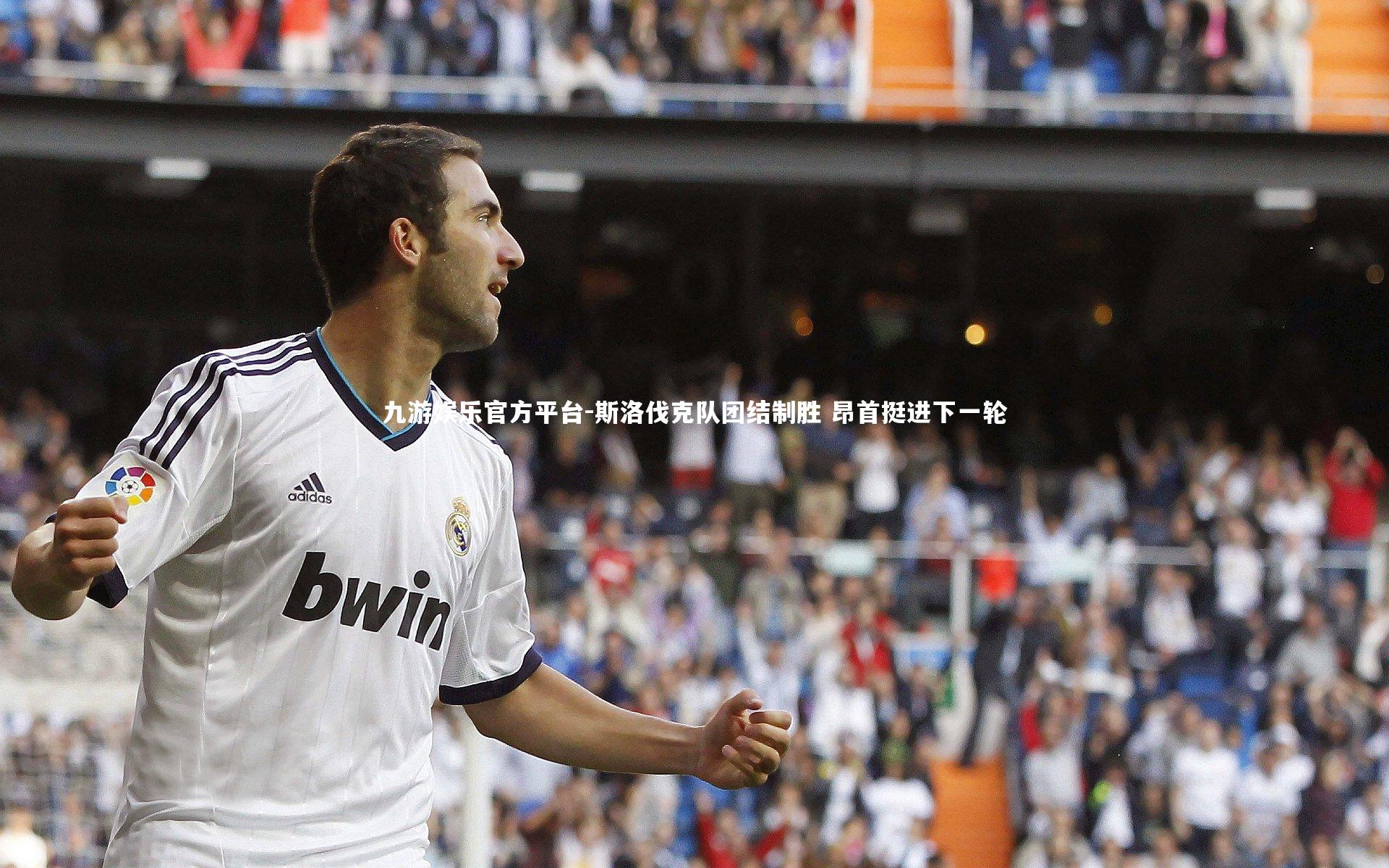 斯洛伐克队团结制胜 昂首挺进下一轮